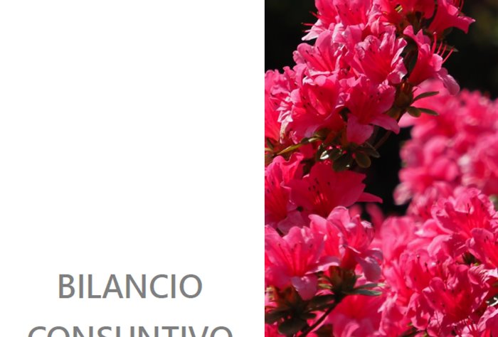 Approvato il bilancio 2024