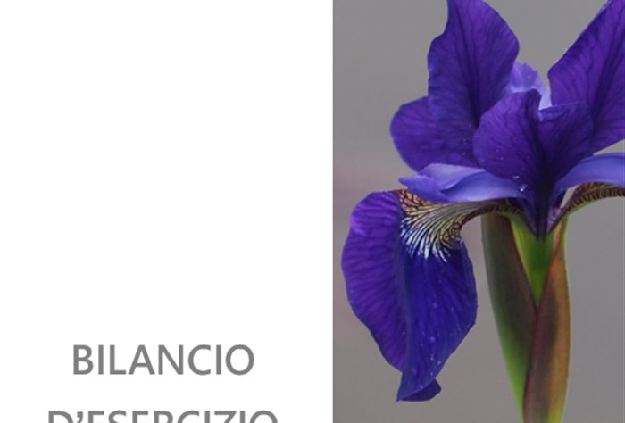 Approvato il bilancio 2025